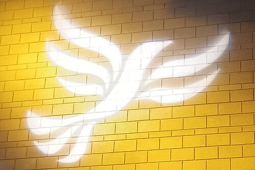 Lib Dem logo bird projected on blockwork